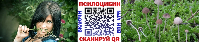 Псилоцибиновые грибы Psilocybe  darknet состав  Усть-Кут  продажа наркотиков 